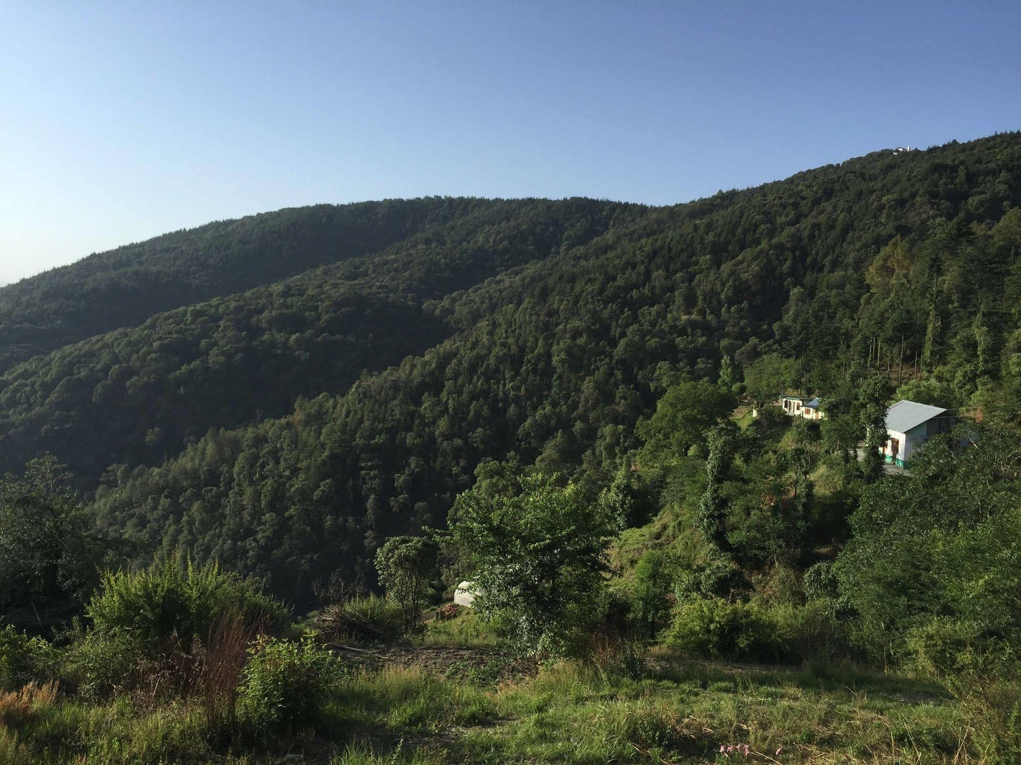 Natureraga Fernhill Resort Chail Exterior foto